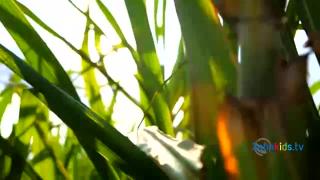 11:00am-11:28am (EST)