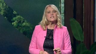 12:00pm-12:14pm (EDT)