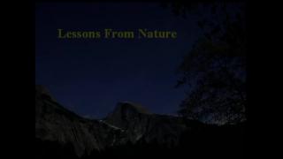 12:30pm-12:44pm (EDT)