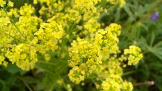 12:30am-12:44am (EDT)