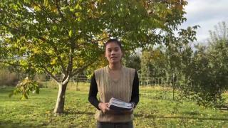 12:45am-12:59am (EDT)