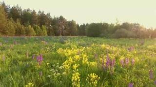 10:30am-10:58am (EDT)