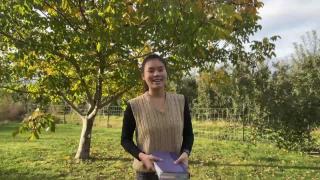 11:15am-11:29am (EDT)