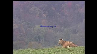 12:00am-12:26am (EST)