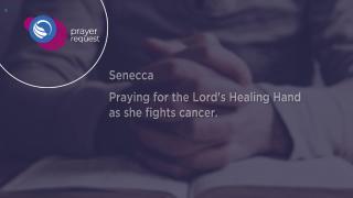 12:30pm-12:58pm (EST)