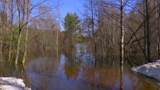 9:00am-10:00am (EDT)