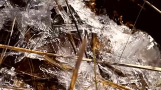 10:00am-11:00am (EDT)