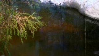 11:00am-12:00pm (EDT)