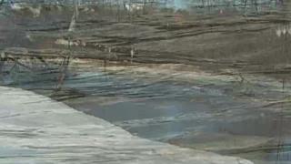 12:00pm-1:00pm (EDT)