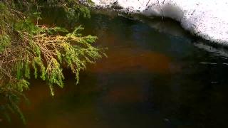 9:00am-10:00am (EDT)