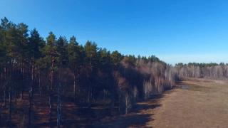 11:00am-12:00pm (EDT)