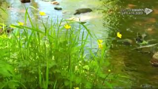 11:00am-12:00pm (EDT)