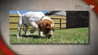 12:00pm-1:00pm (EDT)