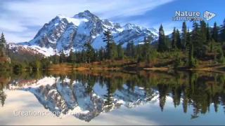 12:00am-1:00am (EST)