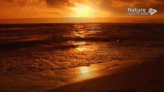 9:00am-10:00am (EST)