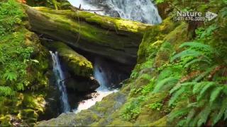 10:00am-11:00am (EST)