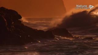 11:00am-12:00pm (EST)