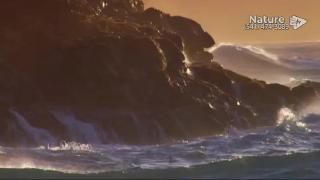 12:00pm-1:00pm (EST)