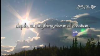 9:00am-10:00am (EDT)