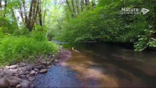 10:00am-11:00am (EDT)