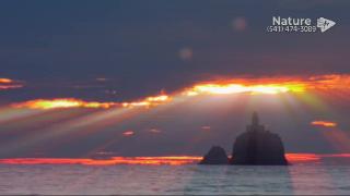 11:00am-12:00pm (EDT)