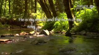 9:00pm-10:00pm (EDT)