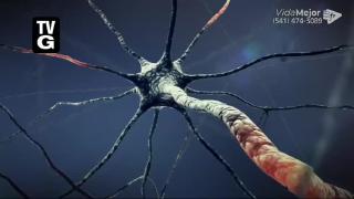 12:00pm-1:00pm (EST)