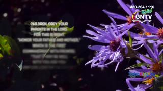 9:00am-10:00am (EST)