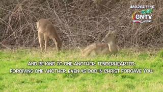 9:00am-10:00am (EDT)