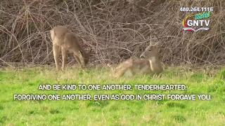 11:00am-12:00pm (EDT)