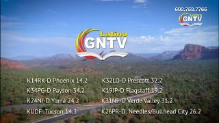 12:00pm-1:00pm (EST)