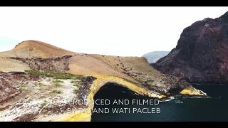 12:00pm-1:00pm (EDT)