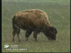 12:00am-1:00am (EST)