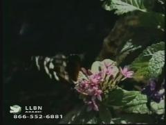 12:00am-1:00am (EDT)