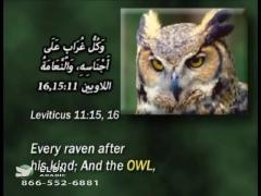 10:00am-11:00am (EDT)