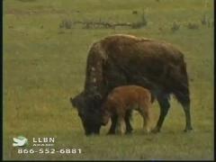 12:00pm-1:00pm (EDT)