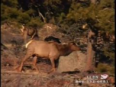 12:00am-1:00am (EDT)