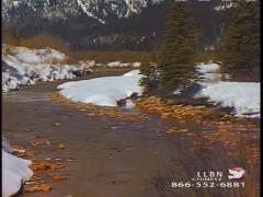 12:00pm-1:00pm (EDT)