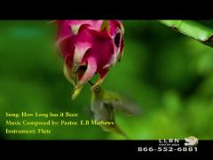 12:00am-1:00am (EDT)