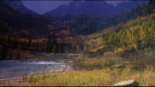 9:00am-10:00am (EDT)