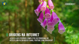 9:00am-10:00am (EDT)