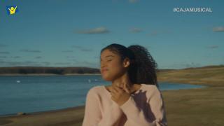 12:00pm-1:00pm (EDT)