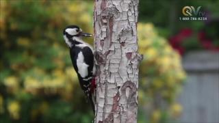 9:00am-10:00am (EST)