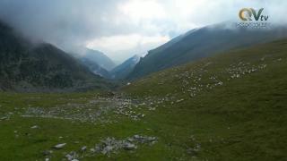 12:00pm-1:00pm (EST)